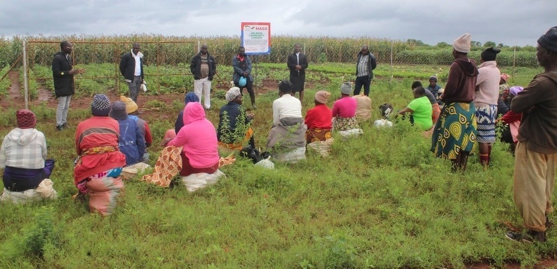 Field Monitoring