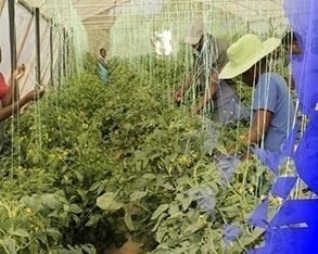 Climate Resilience