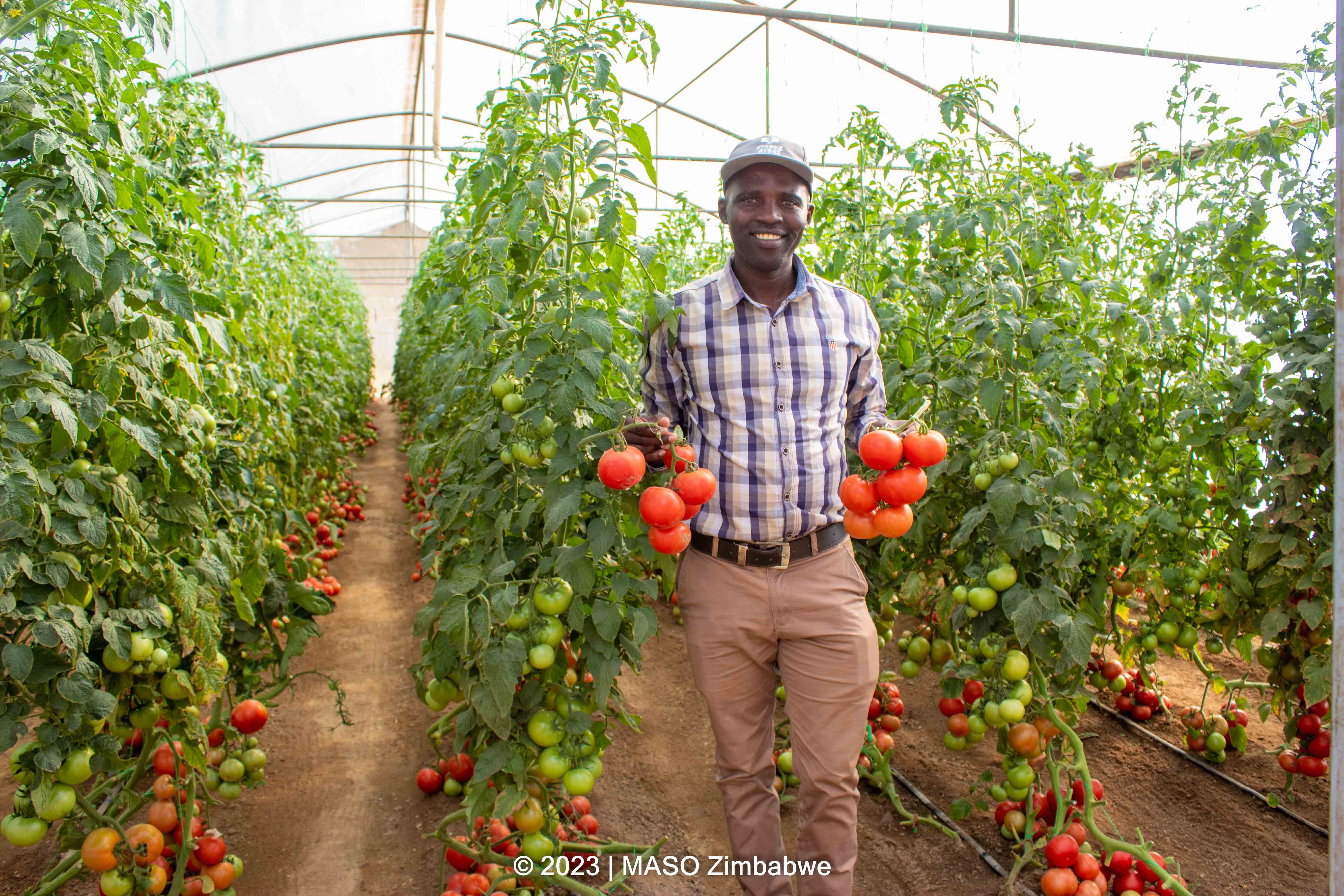 Climate Change Resilience